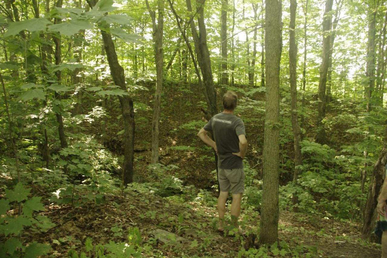 Gite Au Pied Des Appalaches Sainte-Sophie-D'Halifax ภายนอก รูปภาพ